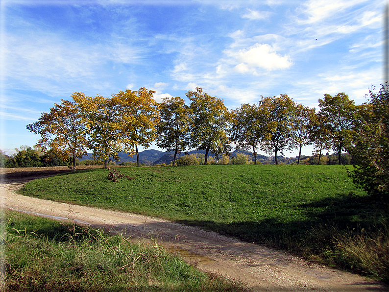 foto Paesaggi Autunnali tra le colline Fontesi